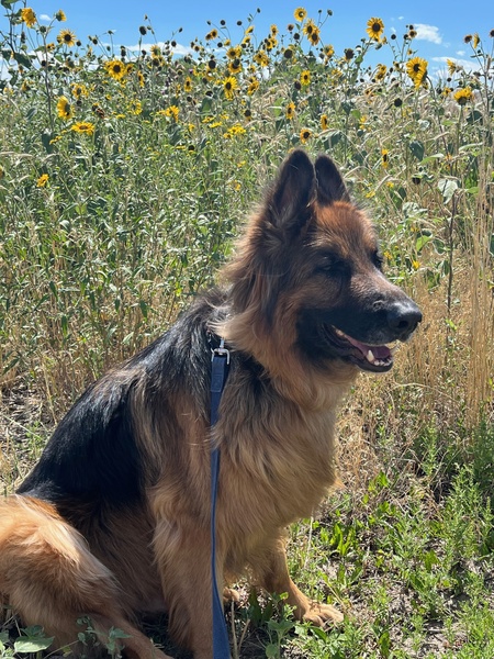 Max