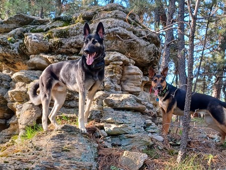 Max & Calli