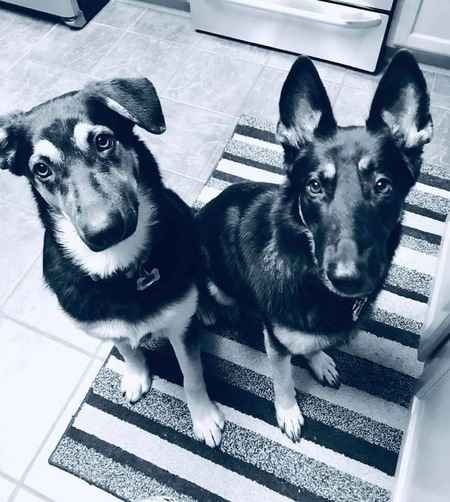 Entry image for Kash & Bling. Clicking this image will show a larger photo