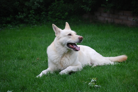 Entry image for Coda. Clicking this image will show a larger photo
