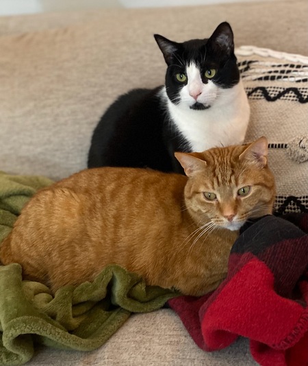 Thomas & Oscar