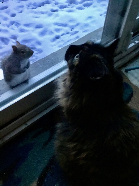 Entry image for Beauty. Clicking this image will show a larger photo