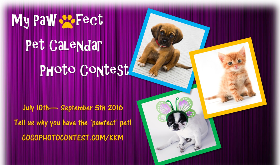 Banner for My Pawfect Pet Photo Calendar Contest