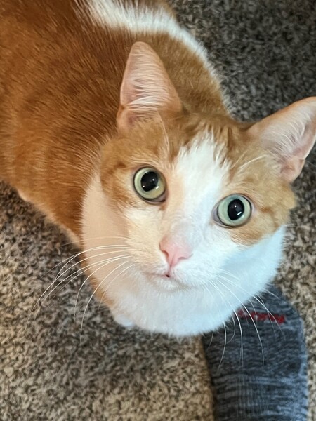 Timmy