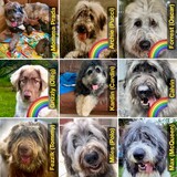 Entry image for Prada's Boys