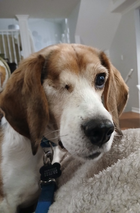 Entry image for Odin. Clicking this image will show a larger photo