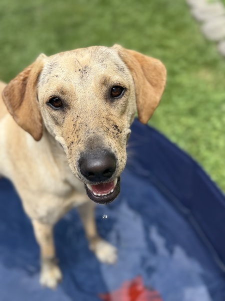 Entry image for River (Muskoka). Clicking this image will show a larger photo