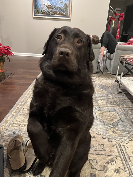 Kona