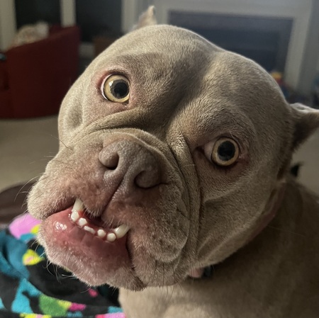 Entry image for Fiona Grace. Clicking this image will show a larger photo