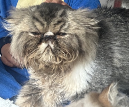 Entry image for Gary . Clicking this image will show a larger photo