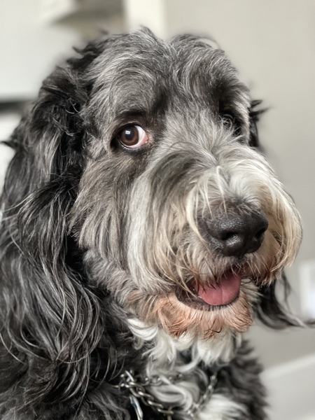 Entry image for Steve. Clicking this image will show a larger photo