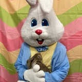 Entry image for Kingston