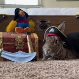 Entry image for Kingston