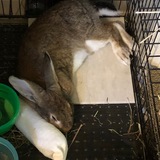 Entry image for Kingston