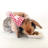 Entry image for Pretzel