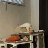 Entry image for Roger