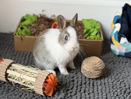 Coco