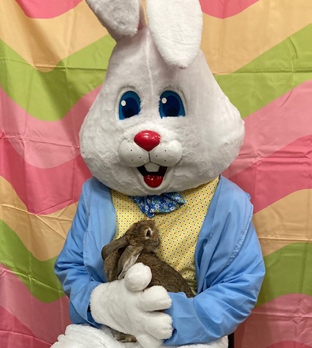 Entry image for Kingston. Clicking this image will show a larger photo