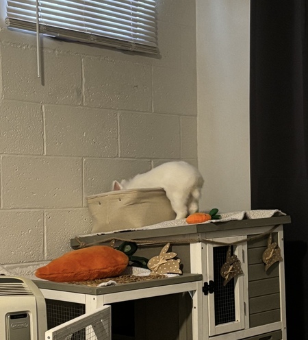 Entry image for Roger. Clicking this image will show a larger photo