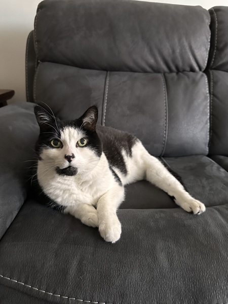 Max