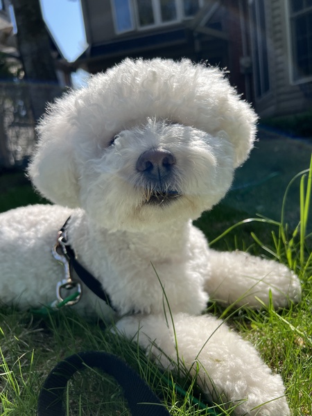 Garfunkel