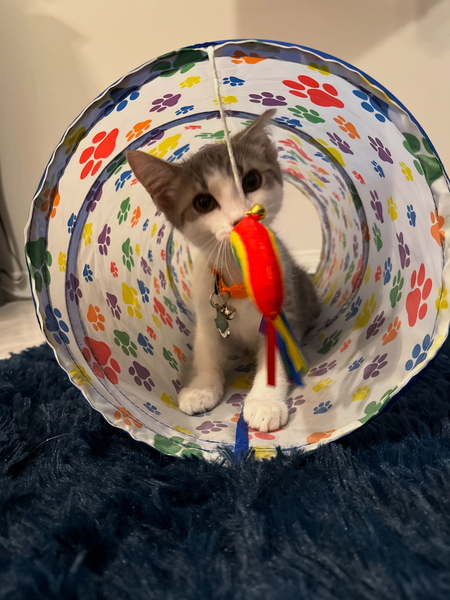 Marbles