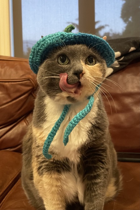 Nahla