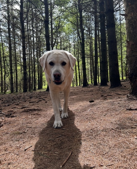 Jake
