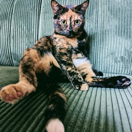 Marbles 