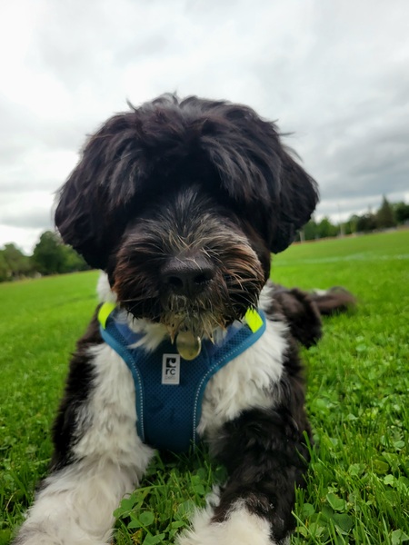 Charlie