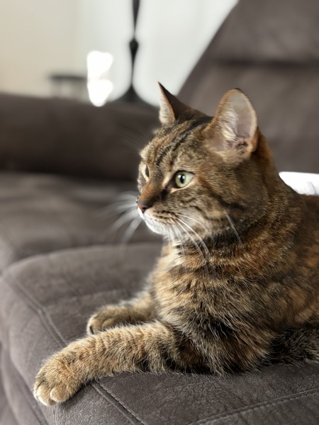 Sophie 