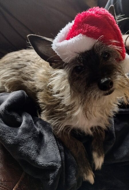 Merry Cutemas!