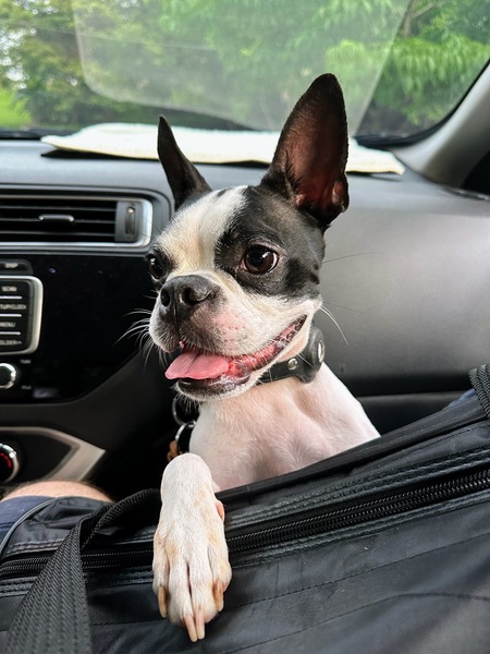 Beach Day for Betty