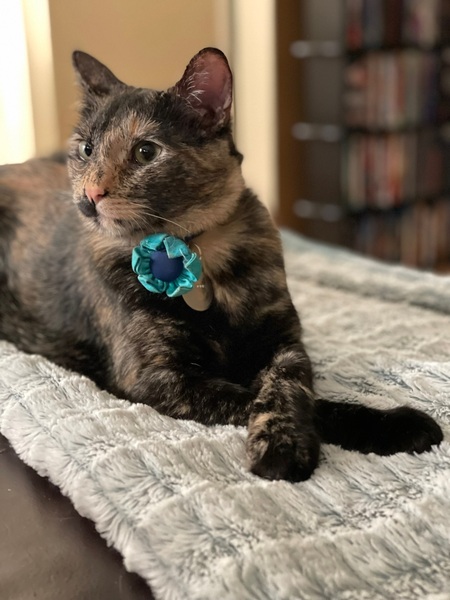 Luna’s Good Side 
