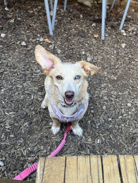Winnie! 
