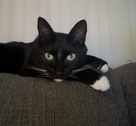 Planning his world domination