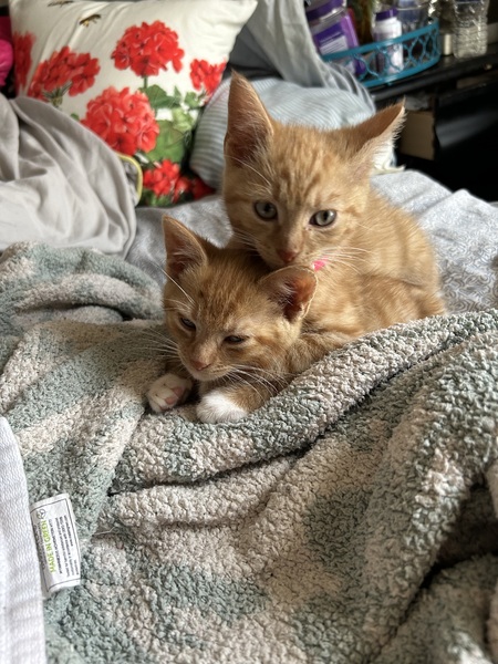 Double Trouble
