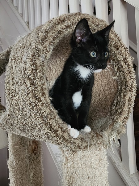 Look at me!