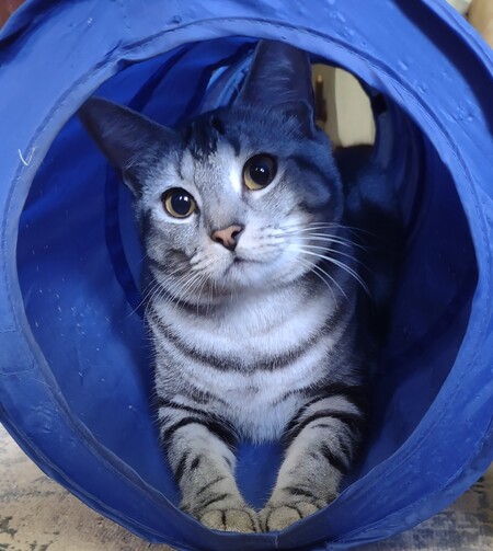 Wilson in his Tunnel!