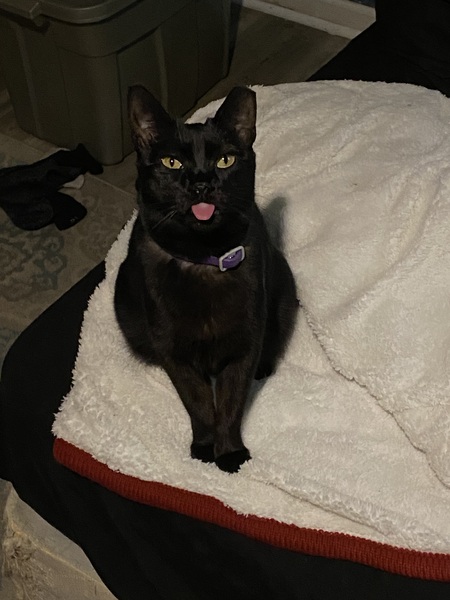 Licky tongue 