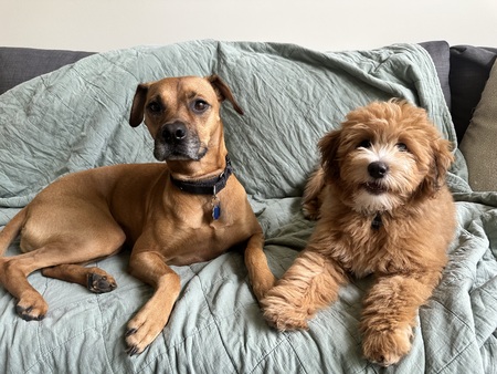 Besties 