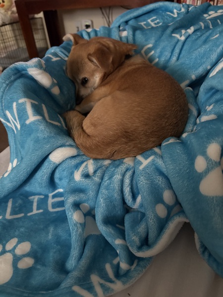 I am awake!