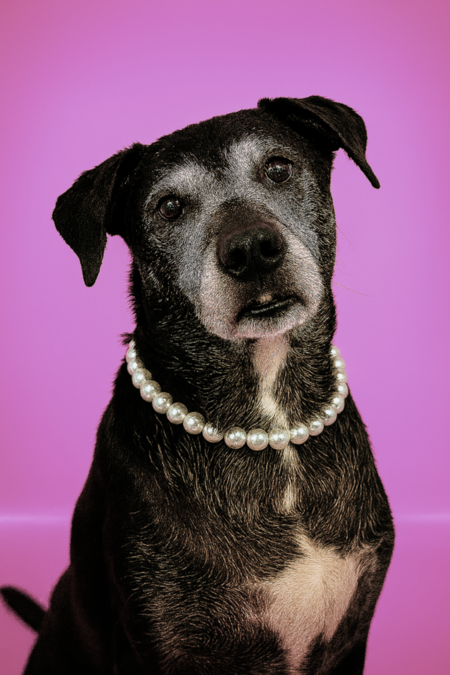 Serving senior glamour, one pearl at a time