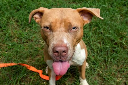 Friendly, gentle girl 