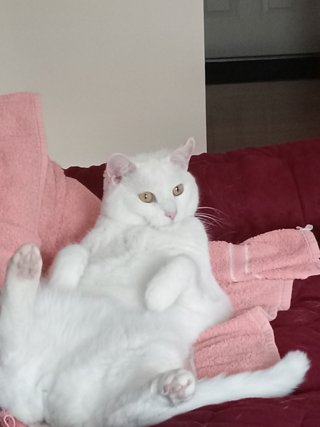 Just Chillin