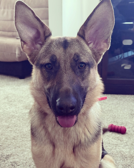Moxie Mae