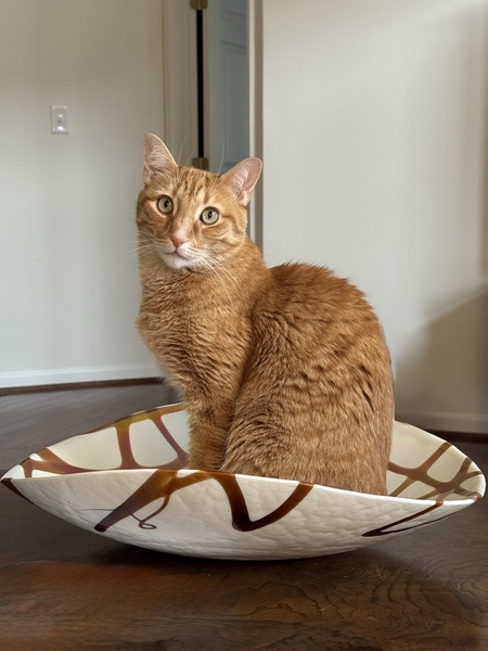 Centerpiece 