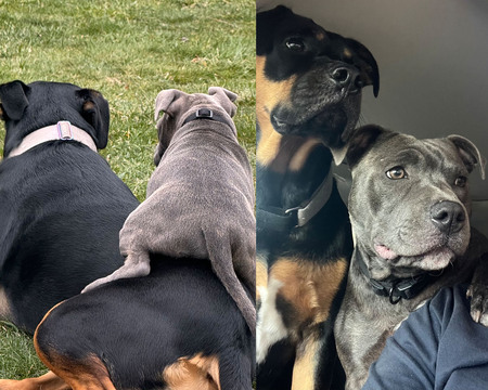 Then & Now