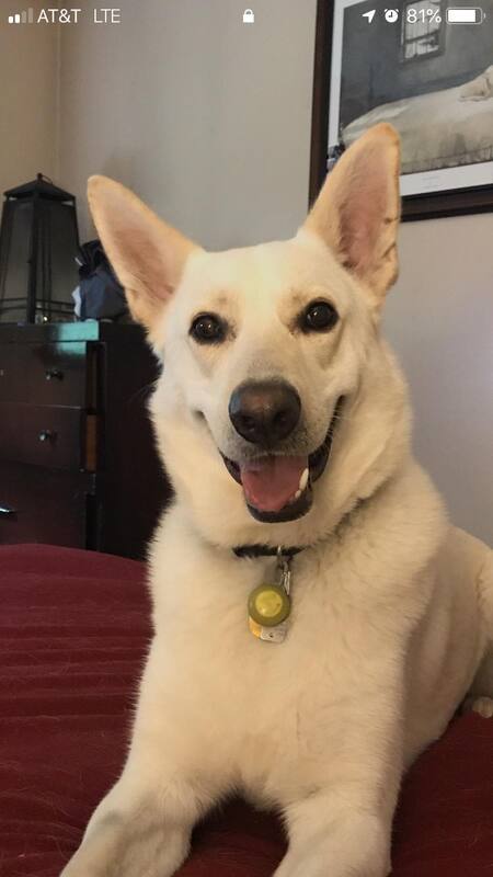 GABE