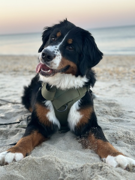 Beach Babe <3